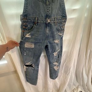 True Religion distressed overalls